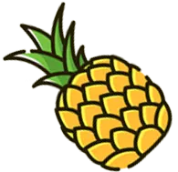 Burcu Üstad Ananası